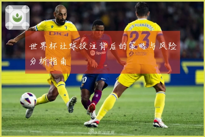 世界杯让球投注背后的策略与风险分析指南