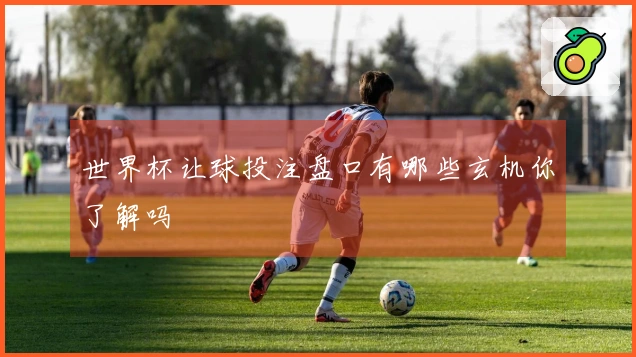 世界杯让球投注盘口有哪些玄机你了解吗