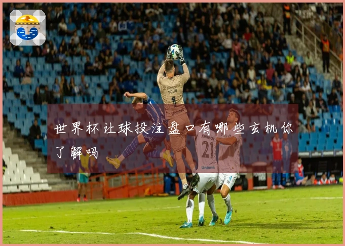 世界杯让球投注盘口有哪些玄机你了解吗