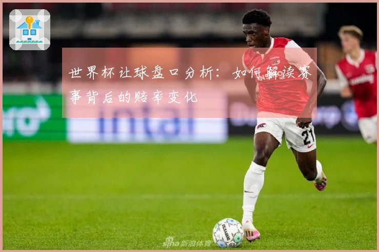 世界杯让球盘口分析：如何解读赛事背后的赔率变化