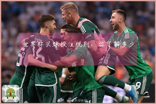 世界杯买球投注规则，你了解多少？