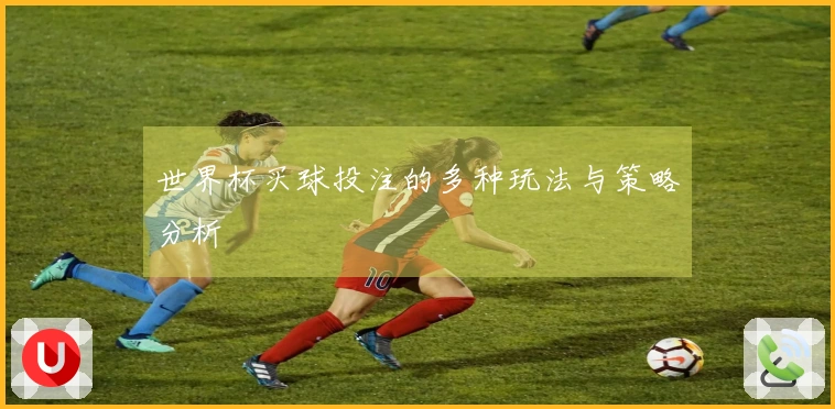 世界杯买球投注的多种玩法与策略分析