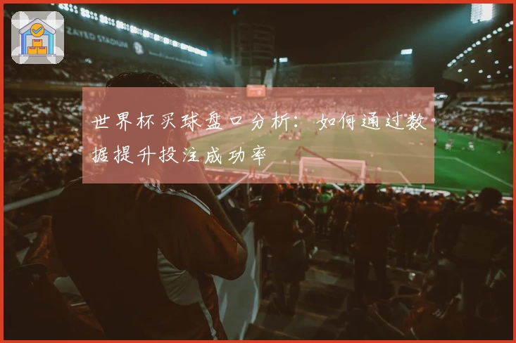 世界杯买球盘口分析：如何通过数据提升投注成功率