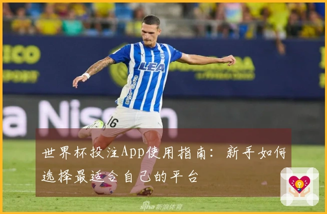 世界杯投注App使用指南：新手如何选择最适合自己的平台