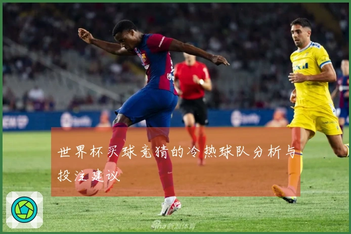 世界杯买球竞猜的冷热球队分析与投注建议
