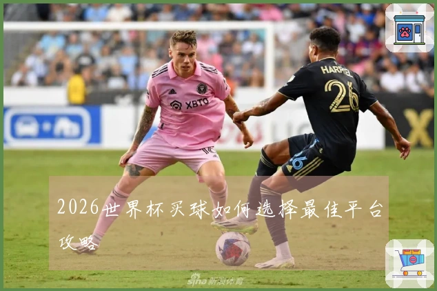 2026世界杯买球如何选择最佳平台攻略