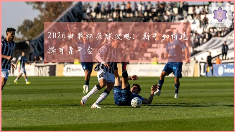 2026世界杯买球攻略：新手如何选择可靠平台